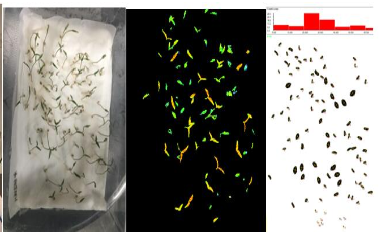 77779193永利官网(集团)有限公司