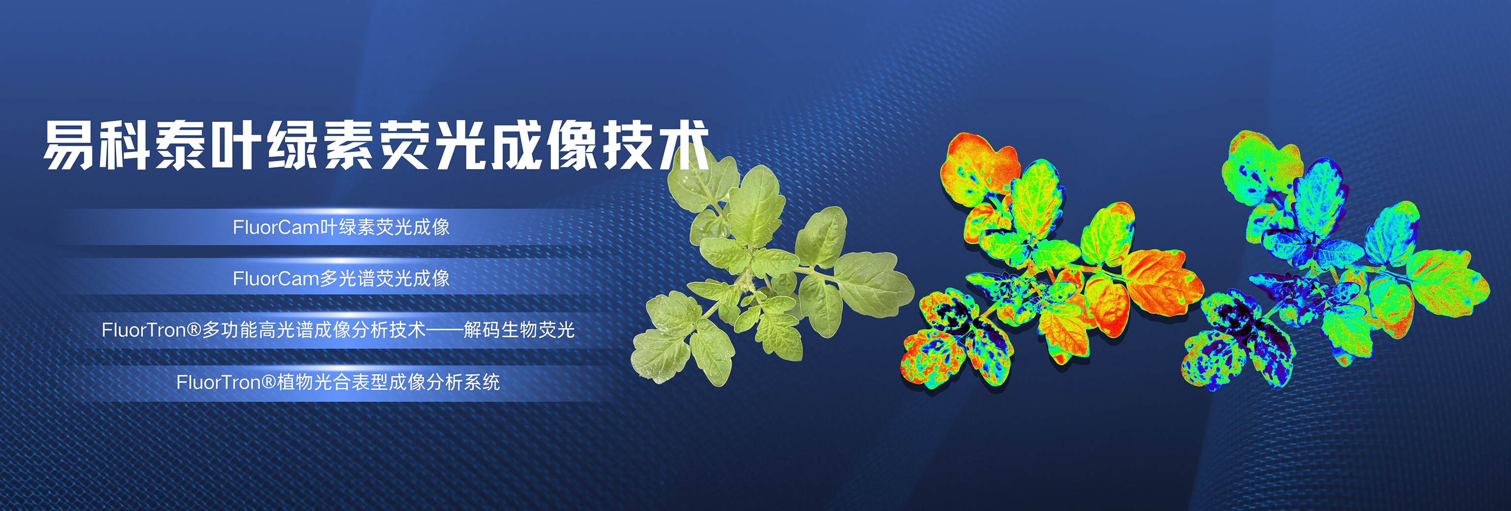 77779193永利官网(集团)有限公司