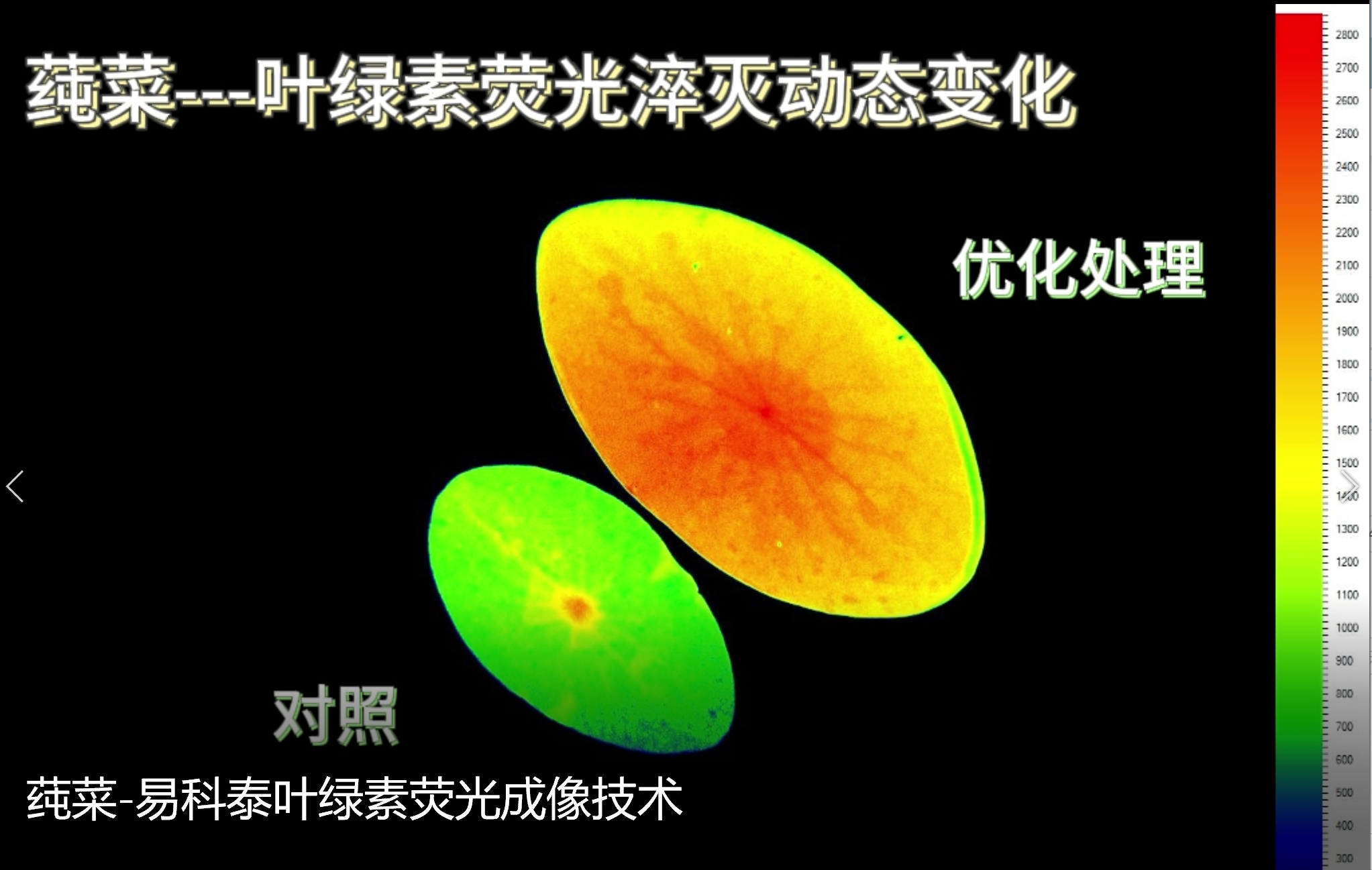 77779193永利官网(集团)有限公司