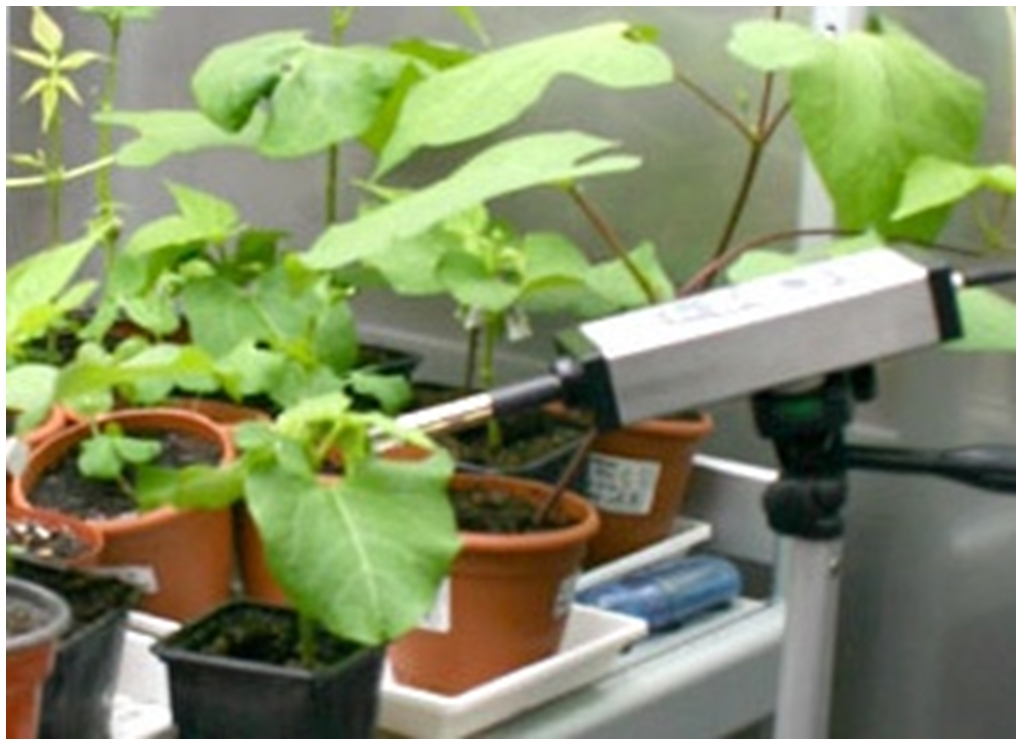 ET-LEDIF植物冠层叶绿素荧光一连监测系统