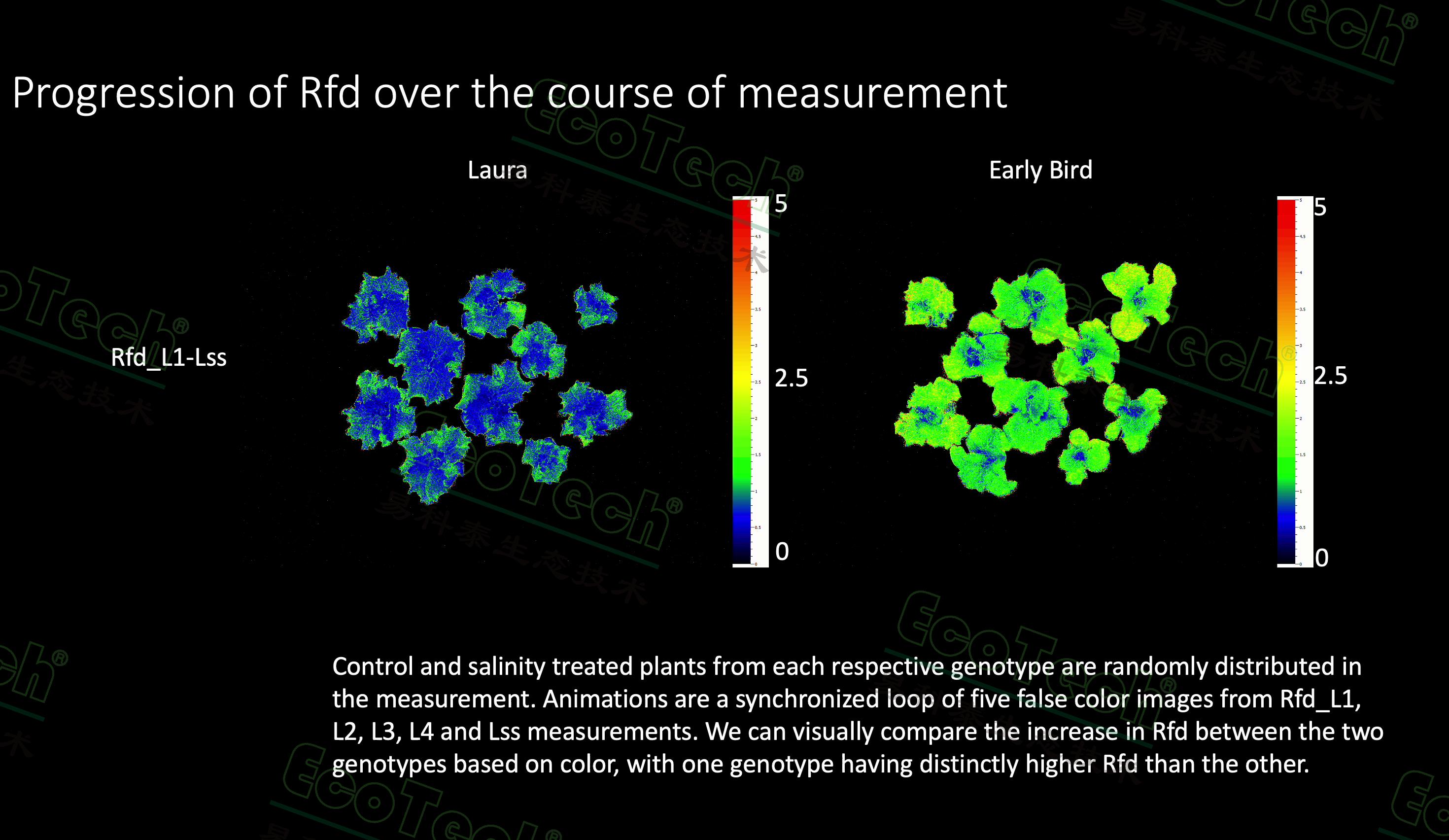 77779193永利官网(集团)有限公司