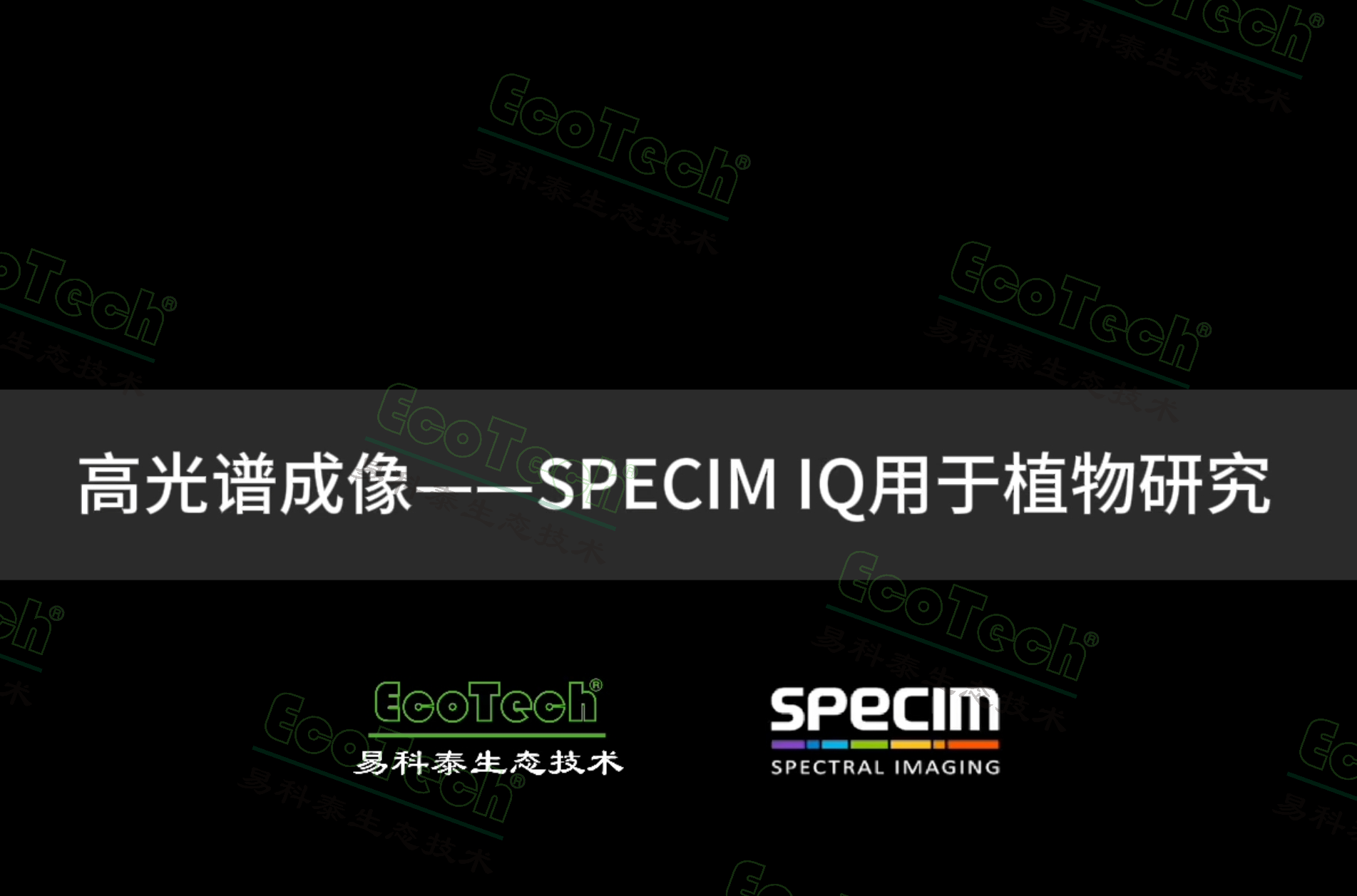 77779193永利官网(集团)有限公司