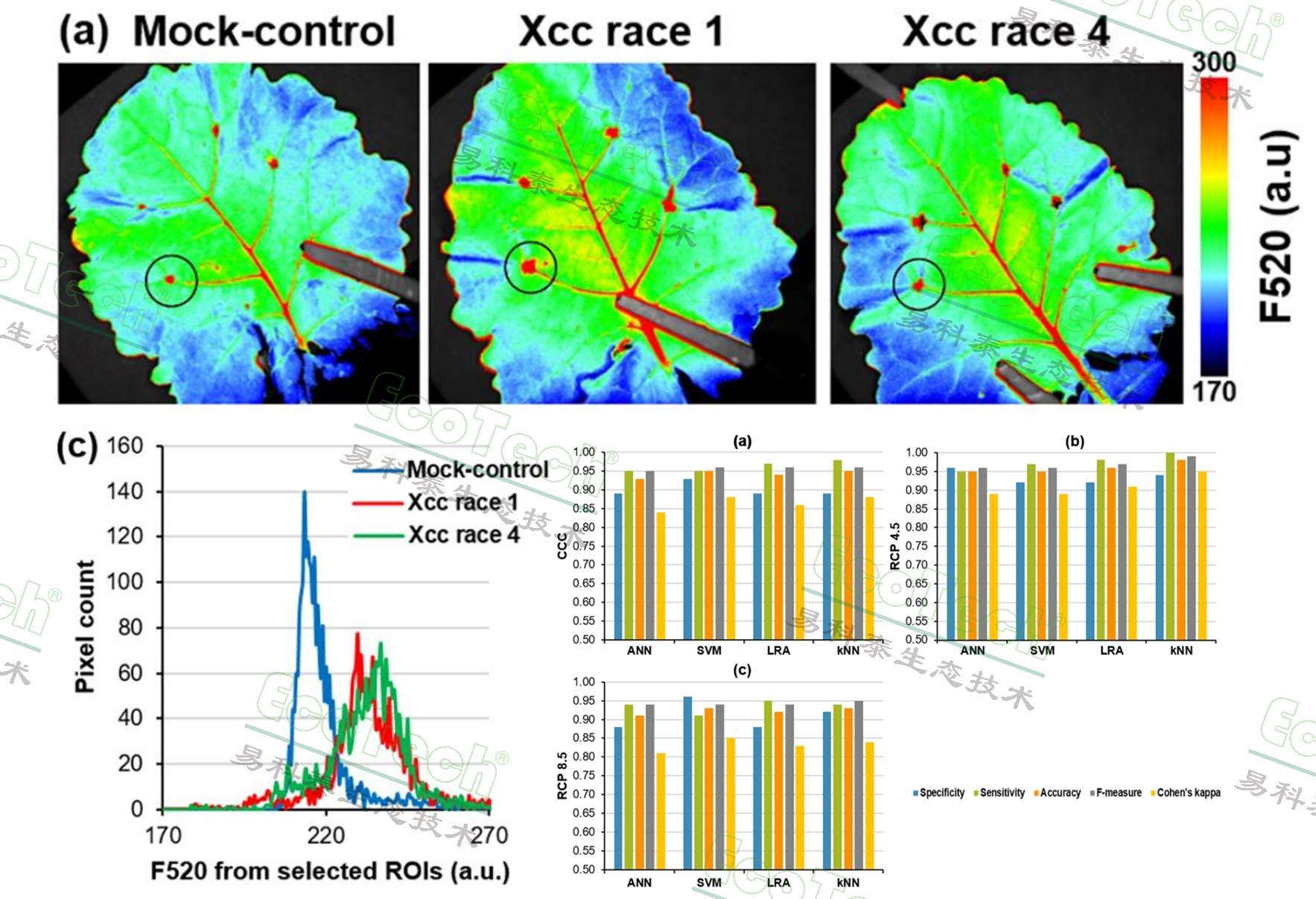 77779193永利官网(集团)有限公司