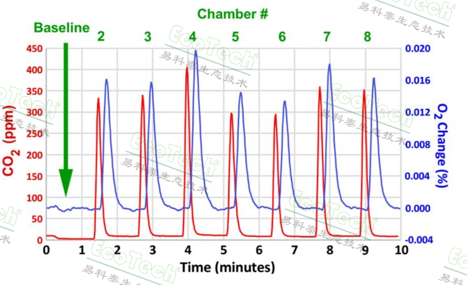 多通道昆虫呼吸代谢丈量系统