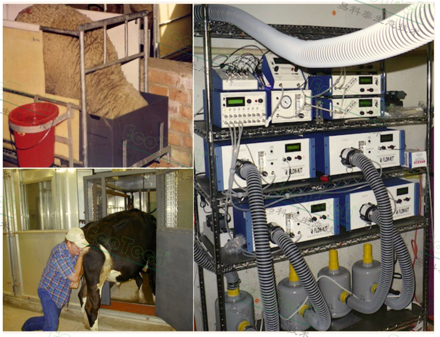 SSI中大型动物呼吸代谢丈量系统