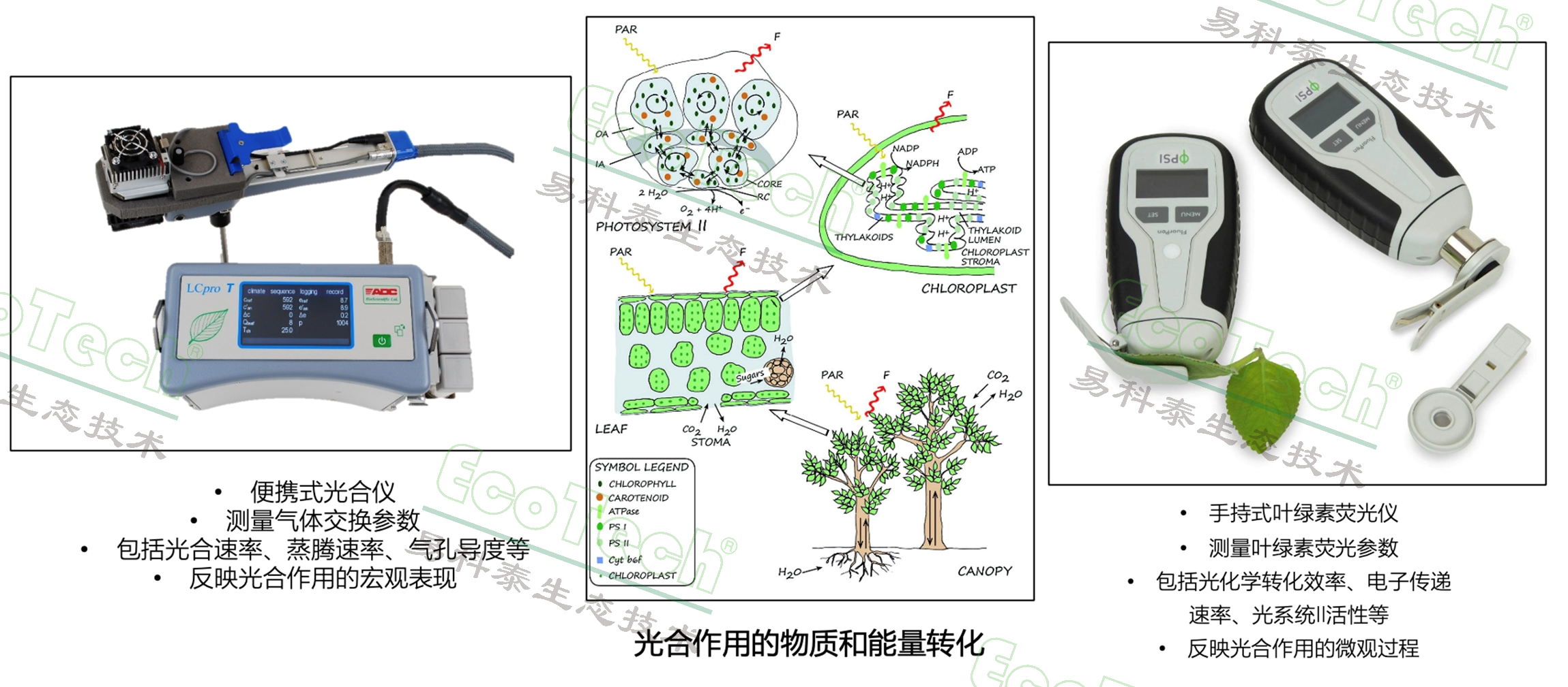 77779193永利官网(集团)有限公司