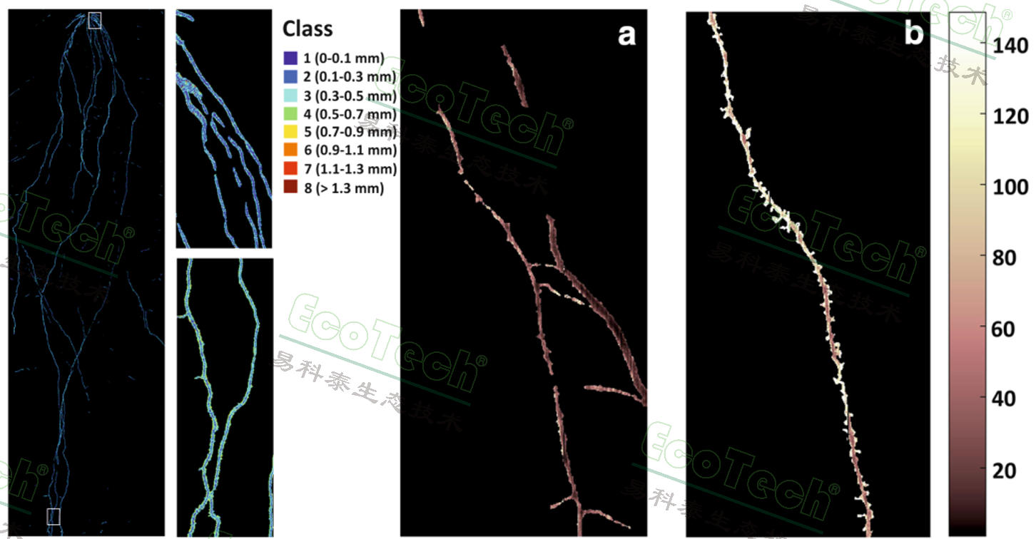 77779193永利官网(集团)有限公司