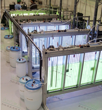 77779193永利官网光氧生物反应器手艺： AlgaTech?藻类作育与在线监测手艺计划