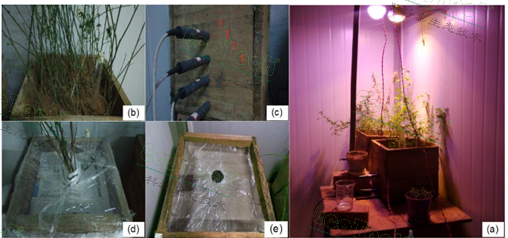 77779193永利官网(集团)有限公司