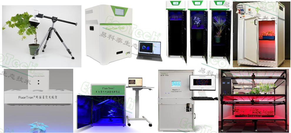 77779193永利官网(集团)有限公司