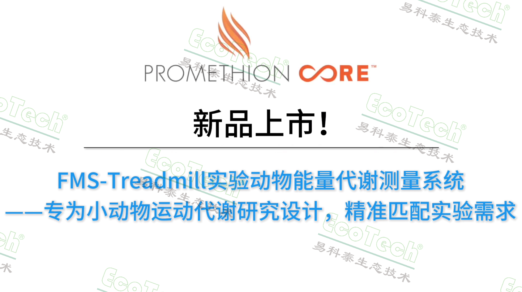 77779193永利官网(集团)有限公司