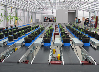 PlantScreen大型版植物表型成像剖析系统（一）