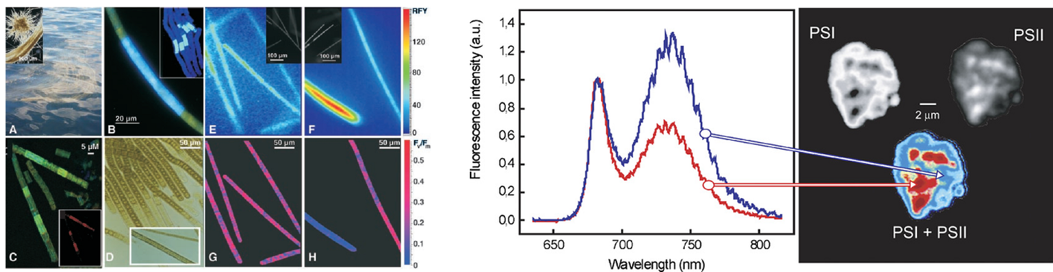 77779193永利官网(集团)有限公司
