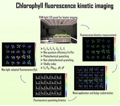 77779193永利官网(集团)有限公司
