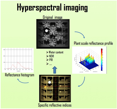 77779193永利官网(集团)有限公司