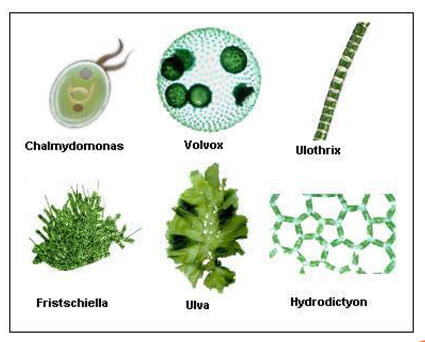 77779193永利官网(集团)有限公司