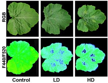 77779193永利官网(集团)有限公司