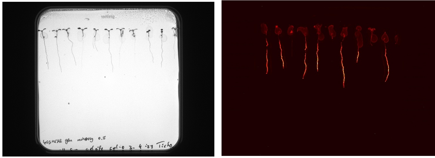 77779193永利官网(集团)有限公司