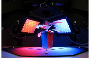 77779193永利官网(集团)有限公司