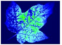 77779193永利官网(集团)有限公司