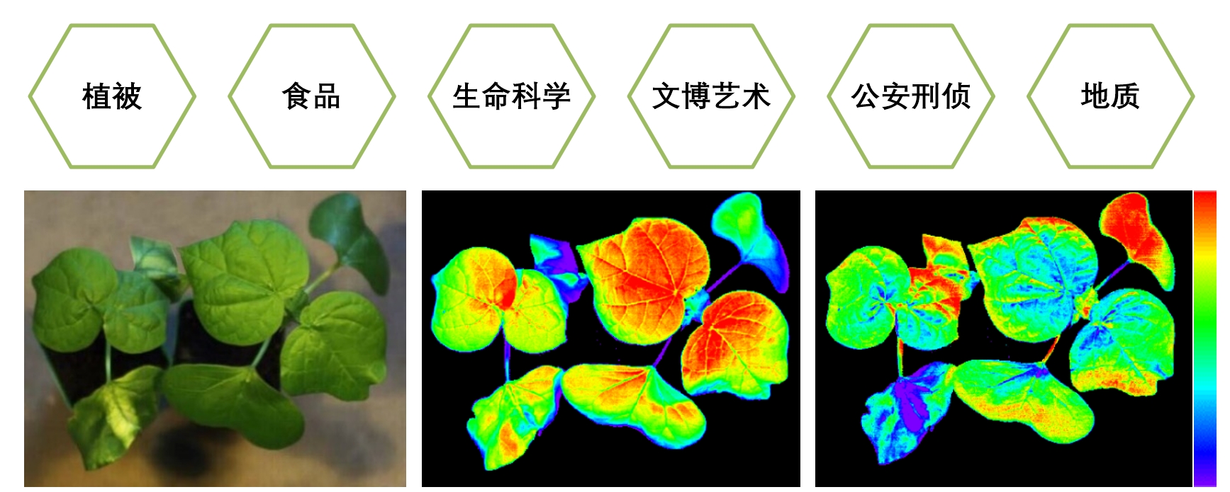 77779193永利官网(集团)有限公司