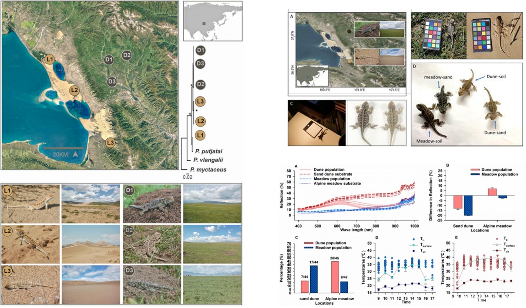 77779193永利官网(集团)有限公司