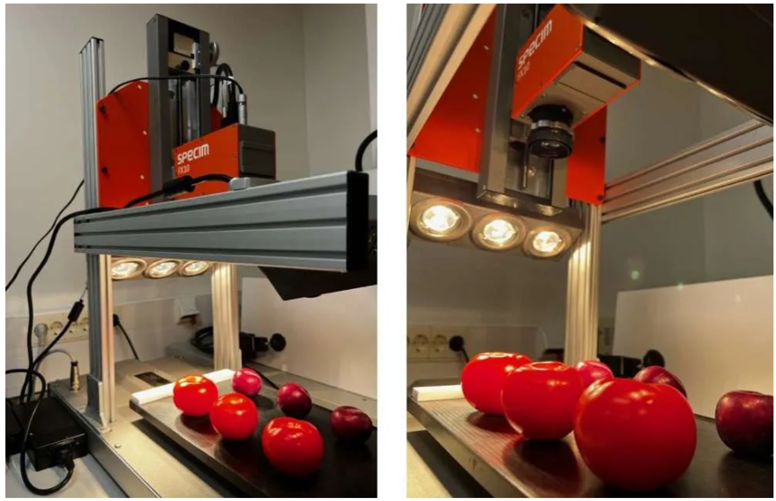 77779193永利官网(集团)有限公司