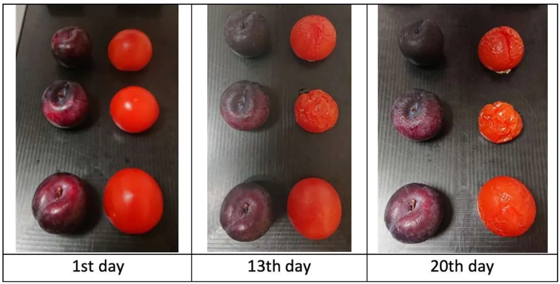 77779193永利官网(集团)有限公司