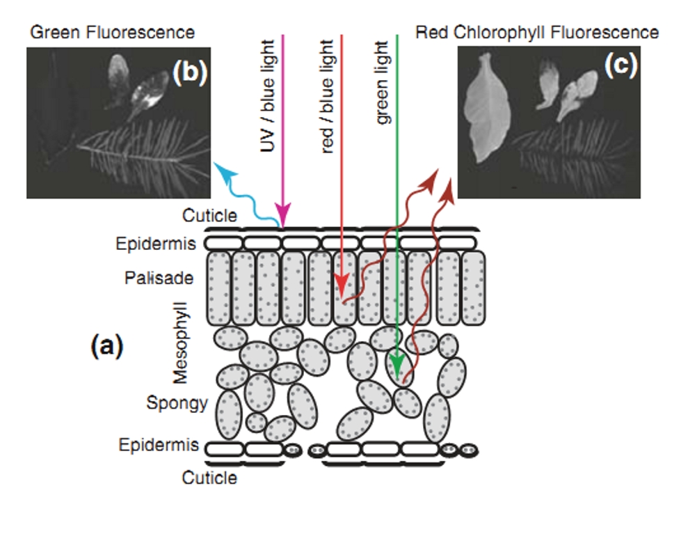 77779193永利官网(集团)有限公司