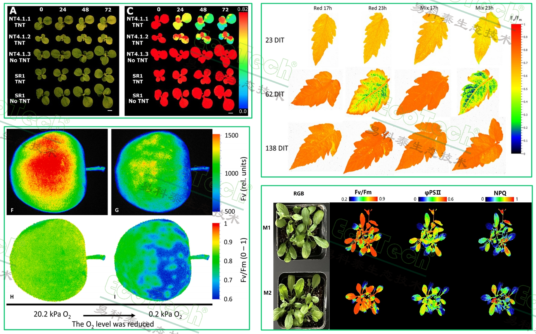 77779193永利官网(集团)有限公司