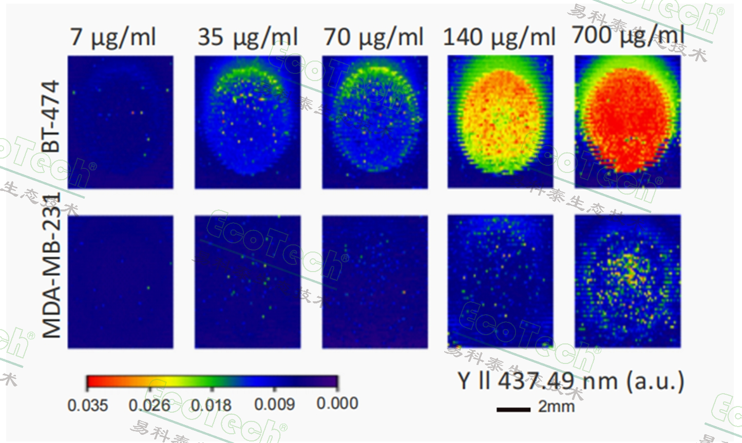 77779193永利官网(集团)有限公司