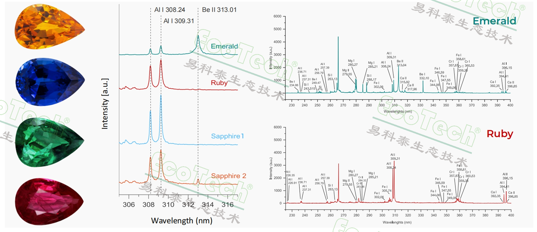 77779193永利官网(集团)有限公司