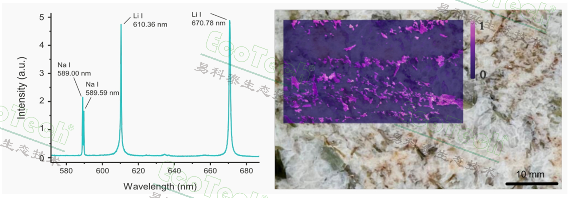 77779193永利官网(集团)有限公司