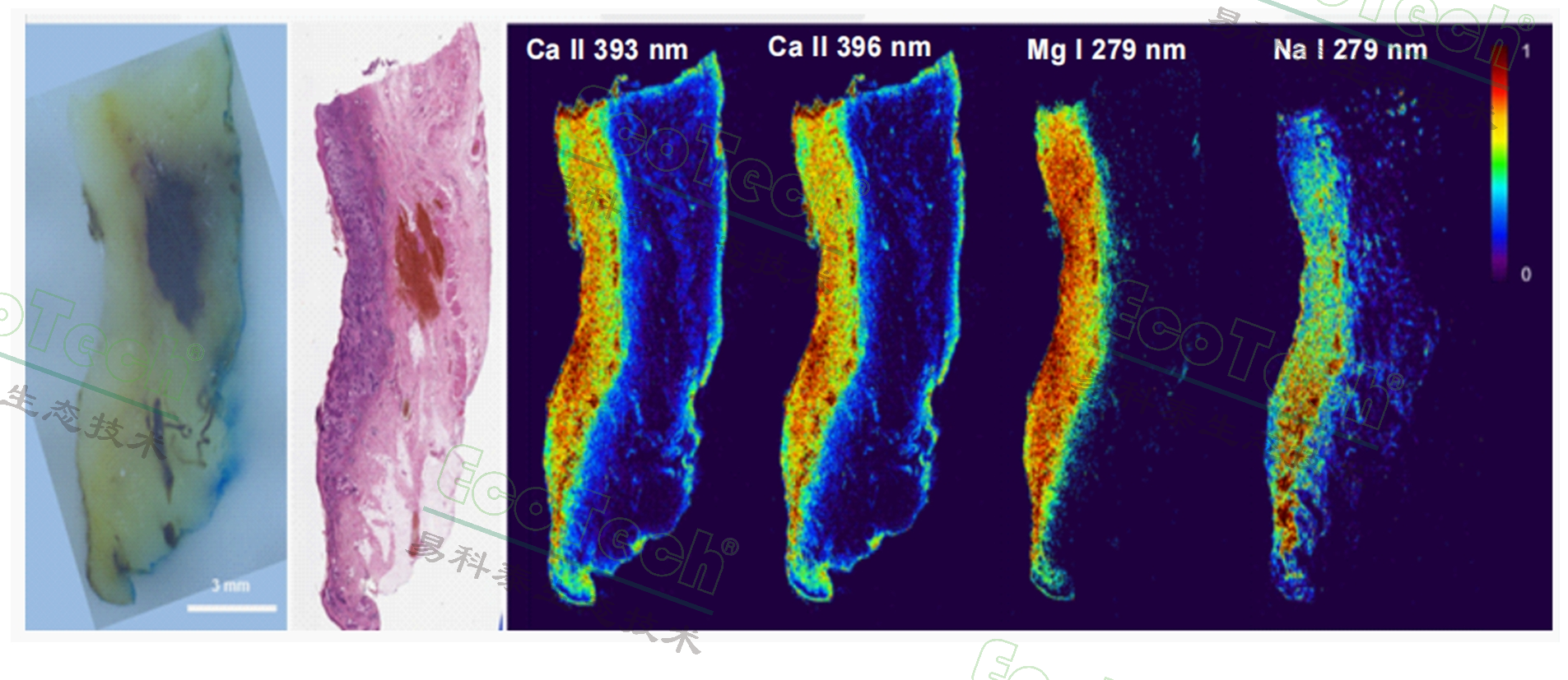 77779193永利官网(集团)有限公司