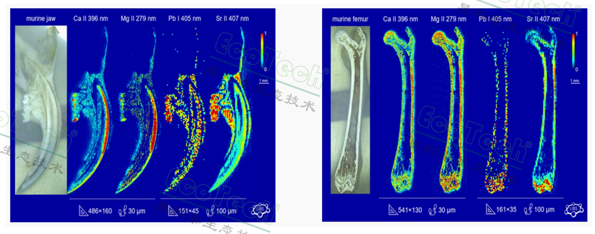 77779193永利官网(集团)有限公司