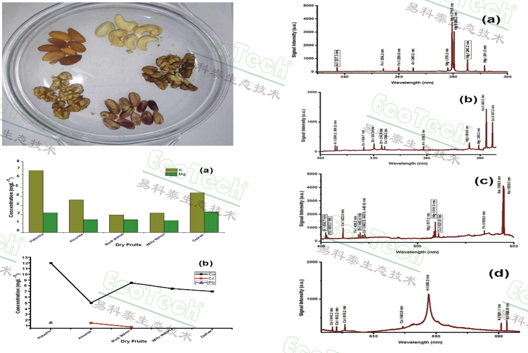 77779193永利官网(集团)有限公司