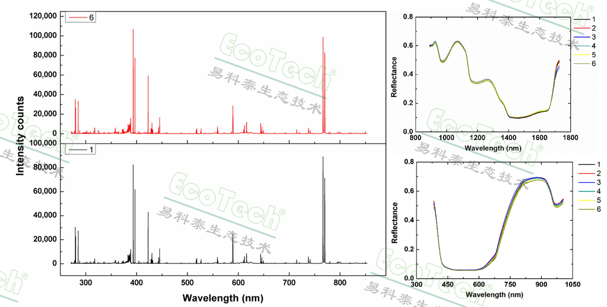 77779193永利官网(集团)有限公司