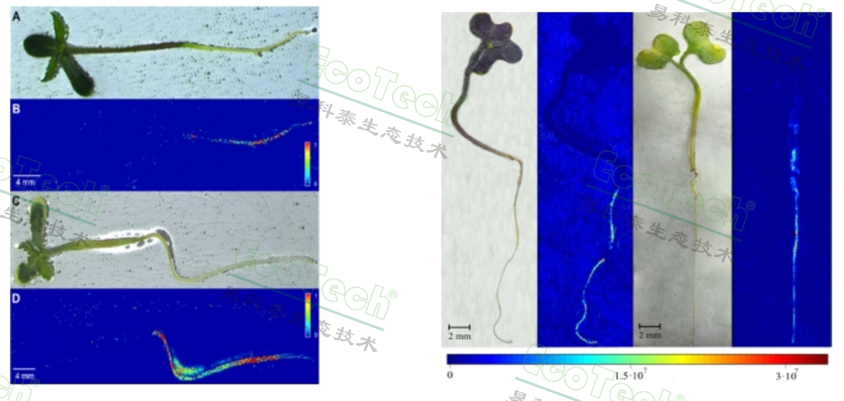 77779193永利官网(集团)有限公司