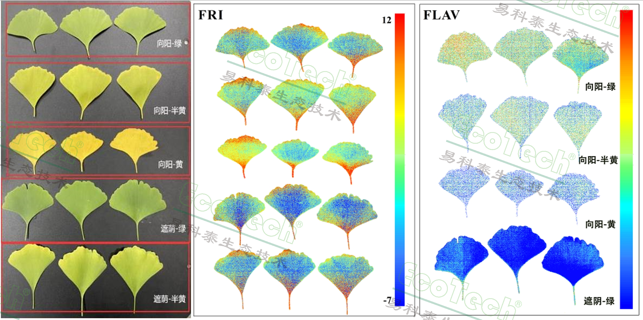 77779193永利官网(集团)有限公司