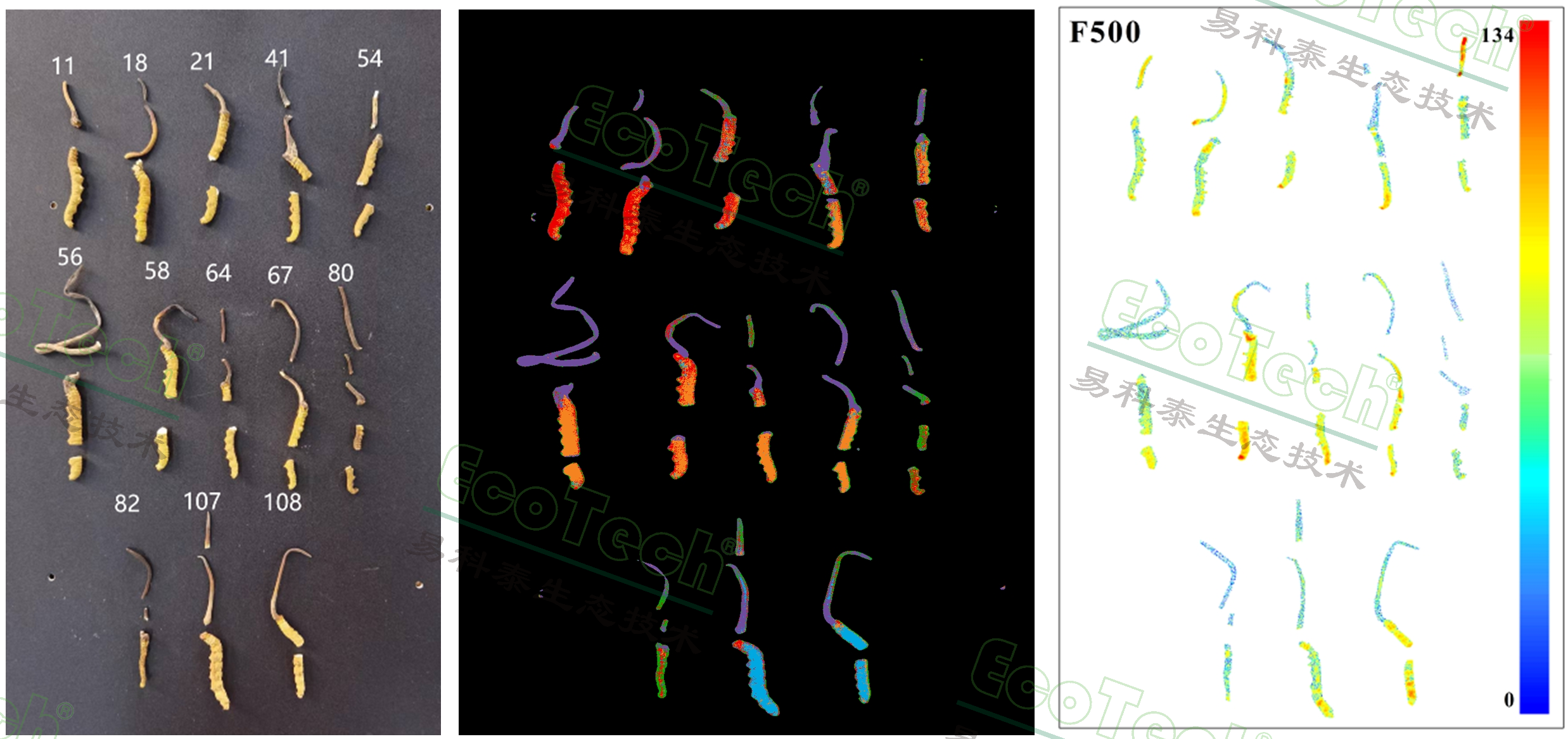 77779193永利官网(集团)有限公司