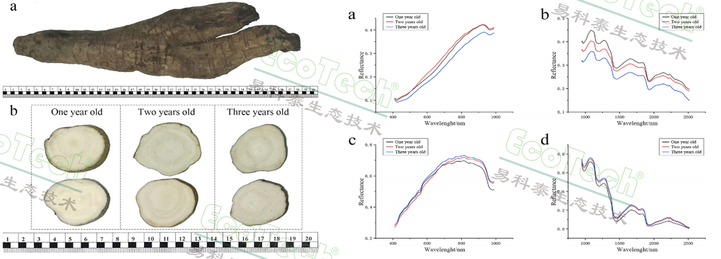 77779193永利官网(集团)有限公司