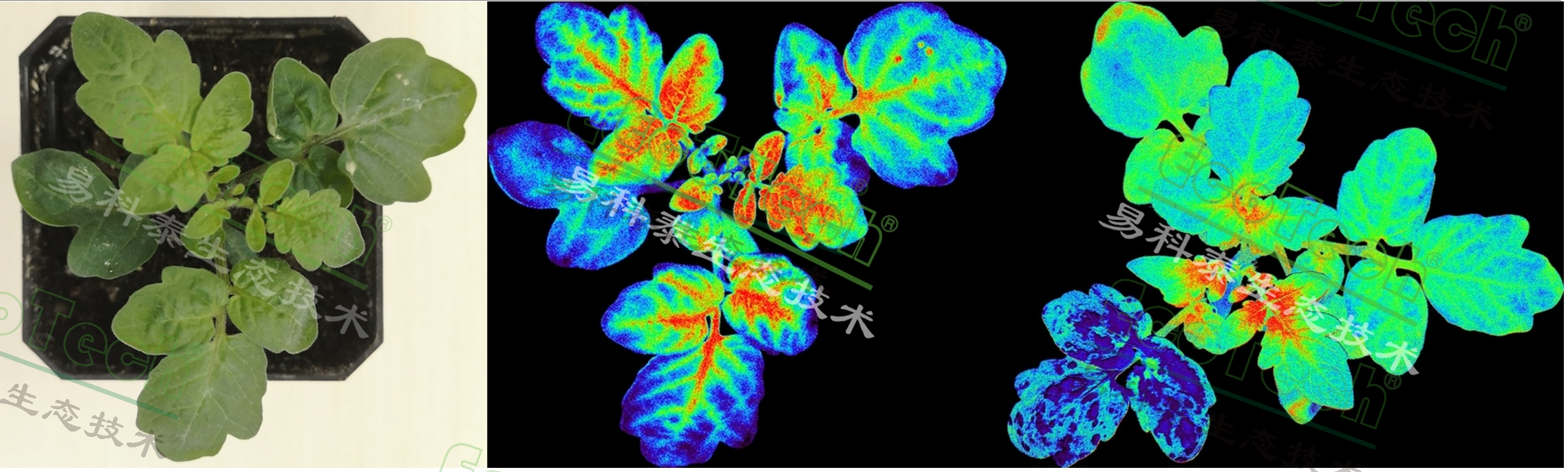 77779193永利官网(集团)有限公司