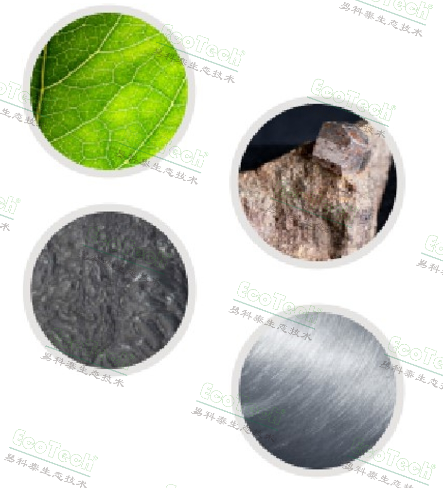 77779193永利官网(集团)有限公司