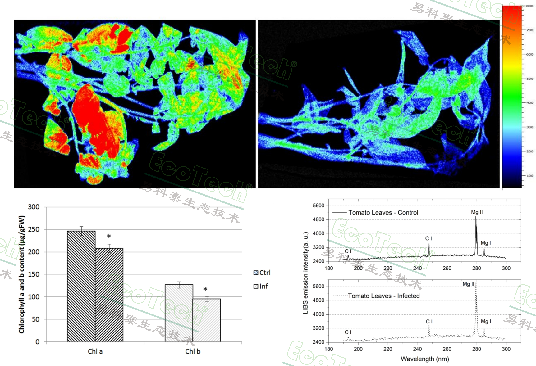 77779193永利官网(集团)有限公司