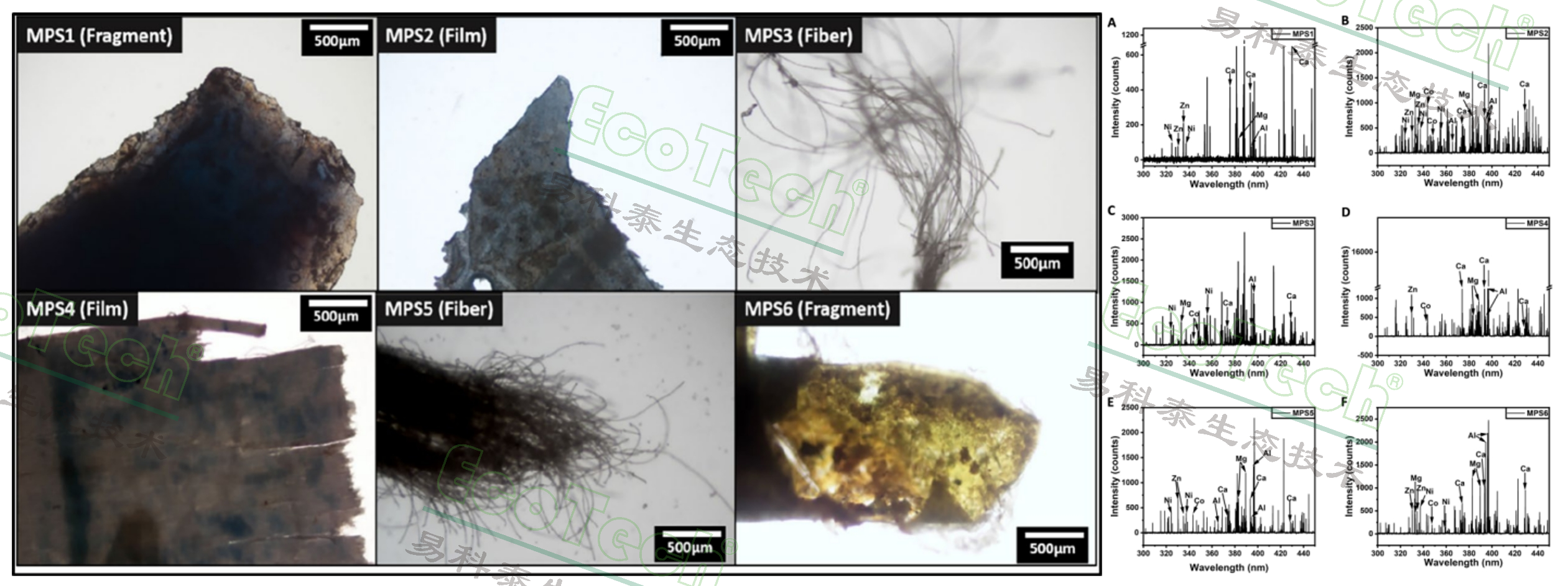 77779193永利官网(集团)有限公司