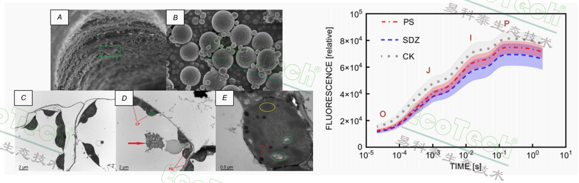 77779193永利官网(集团)有限公司