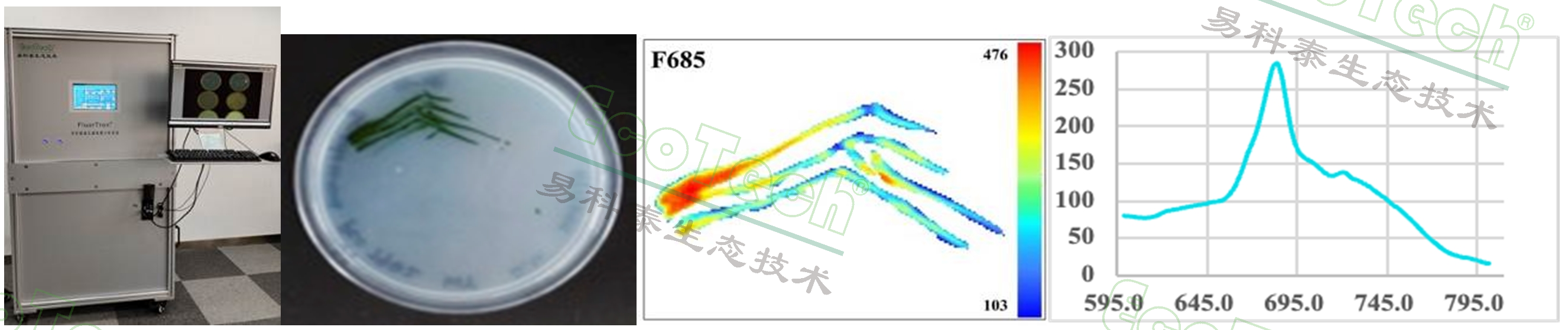 77779193永利官网(集团)有限公司