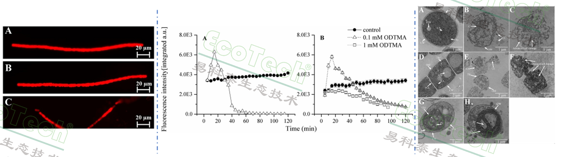 77779193永利官网(集团)有限公司