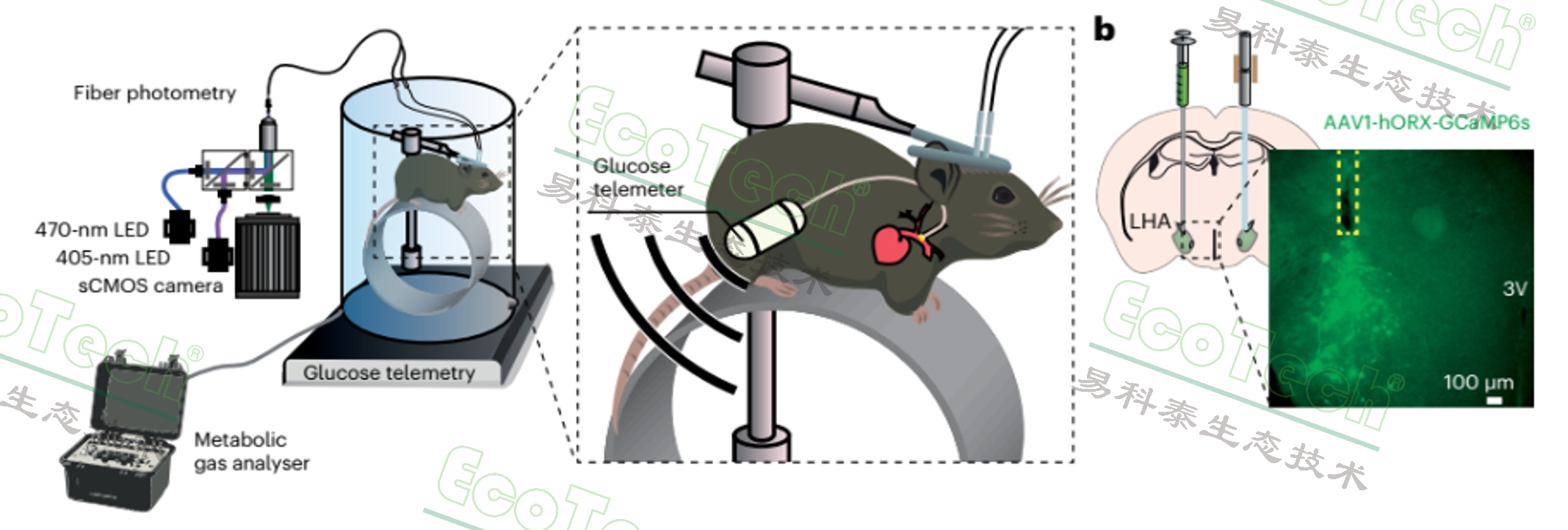77779193永利官网(集团)有限公司