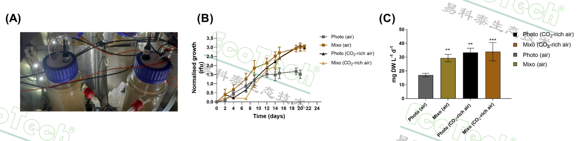 77779193永利官网(集团)有限公司